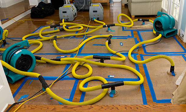 Professional Crawl Space Water Removal technician working in D'Iberville, MS